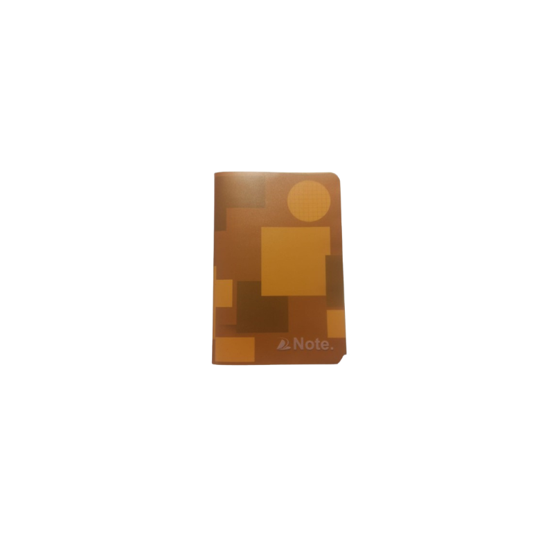 Carnet ecolo pique 5x5 160p 21x14cm